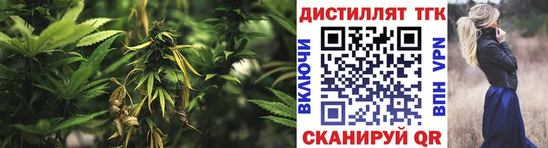 mega как зайти  Духовщина  ТГК гашишное масло 