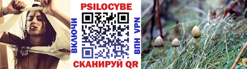 Галлюциногенные грибы MAGIC MUSHROOMS  shop официальный сайт  Духовщина 